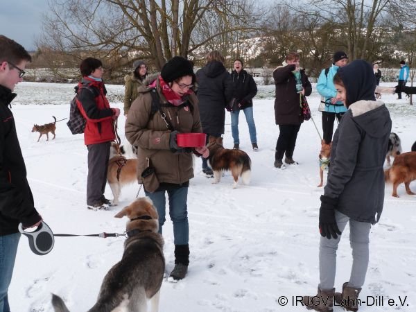 Winterwanderung 17.01.2016