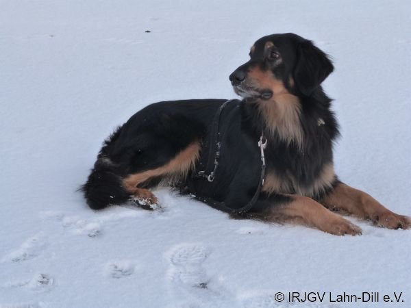 Winterwanderung 17.01.2016