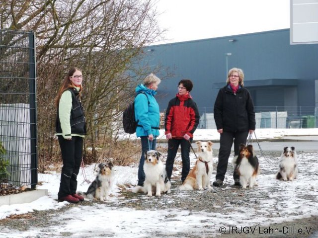 Winterwanderung 29.01.2017