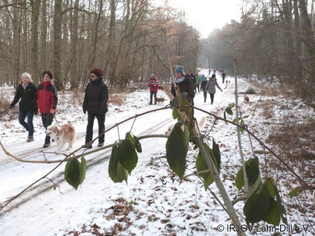 Winterwanderung 29.01.2017