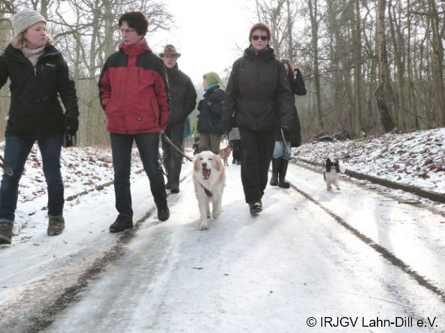 Winterwanderung 29.01.2017