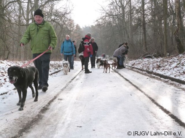 Winterwanderung 29.01.2017