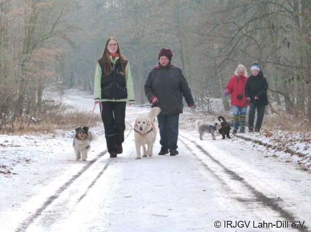 Winterwanderung 29.01.2017